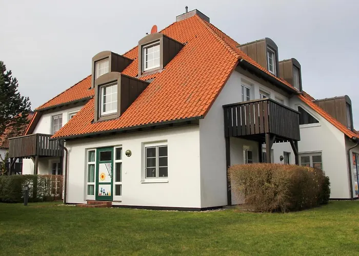 Kormoran Brandung