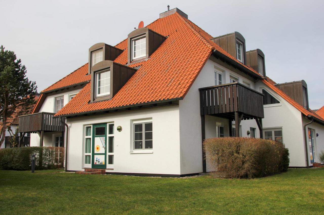 Kormoran Brandung *